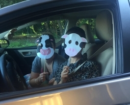 I wore a cow mask in front of lawyers, because that’s just me.
